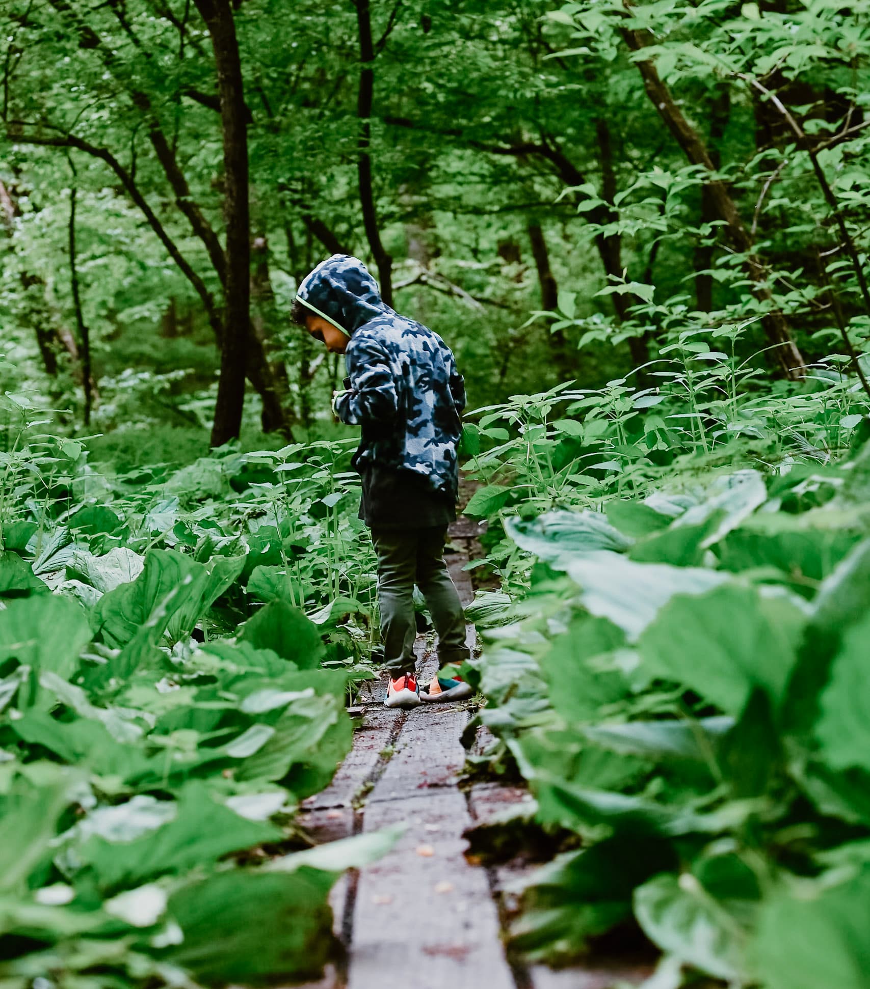 A child in a hooded jacket exploring a wooden boardwalk trail through a lush green forest